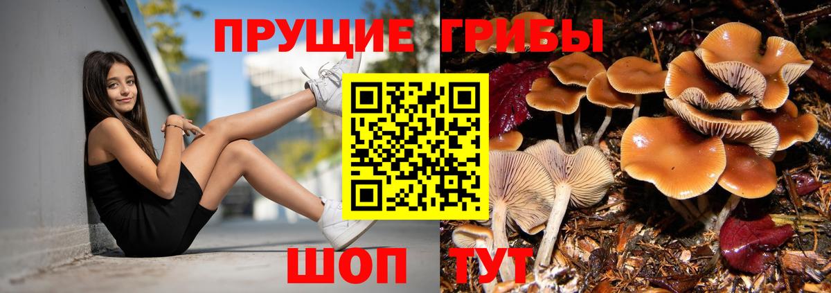 Галлюциногенные грибы ЛСД Соликамск